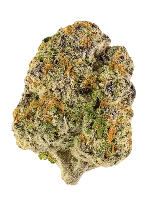 Purple Doses