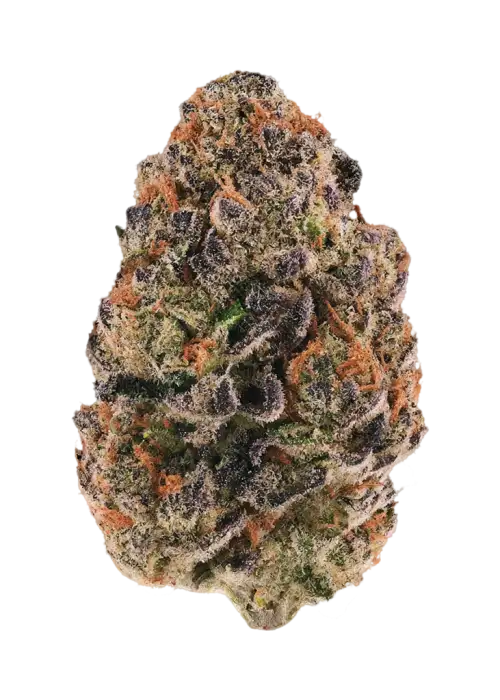 Grape Zenzu