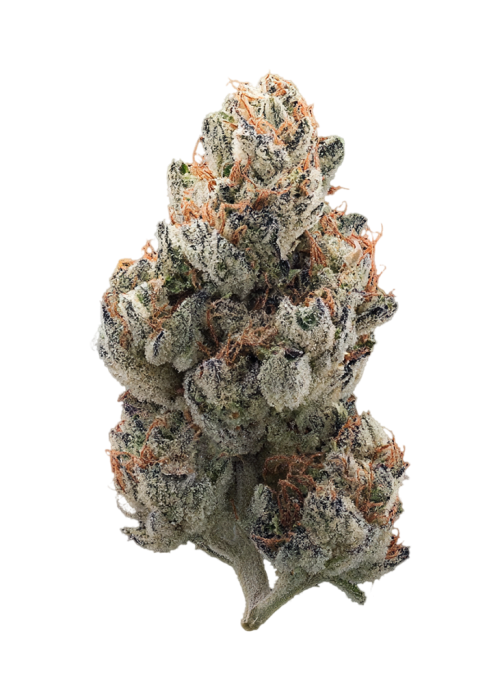 Sour Peachez