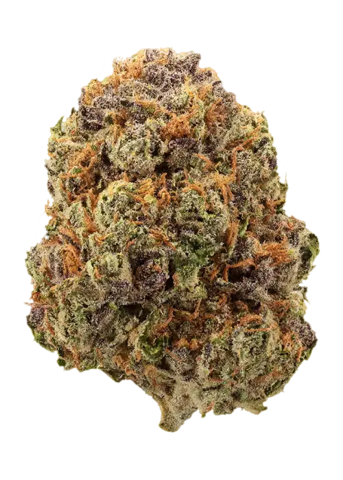 ZourGum