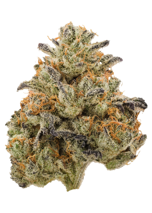 Lemon Zen