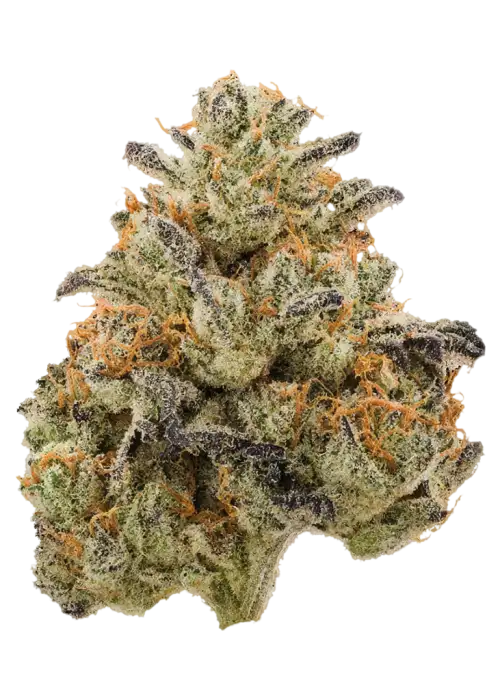 Lemon Zen