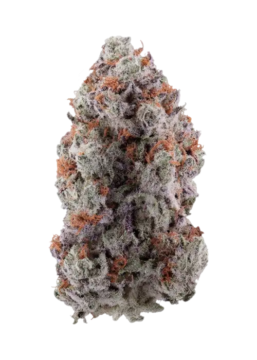 Pink Diamonds