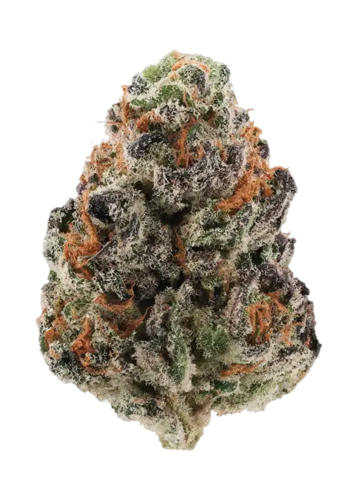 Blue Caviar by Hall of Flame