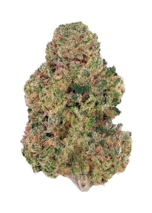 Lemon Butter by Blueprint