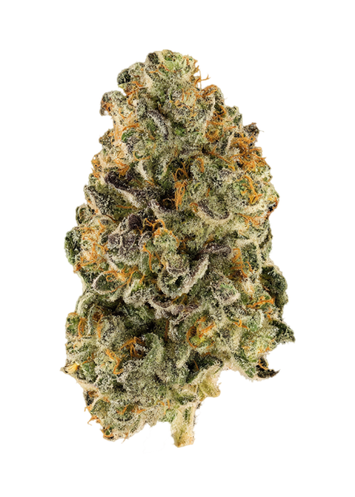 285 OG