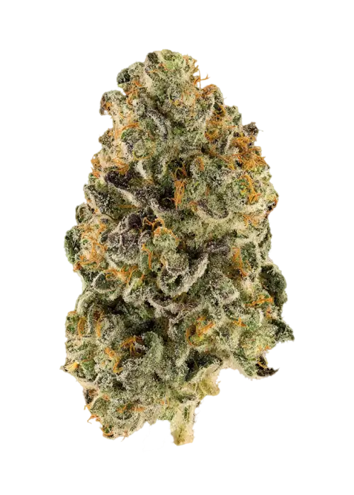 285 OG