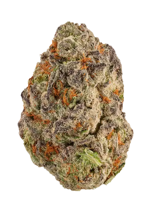 Durban Starburst