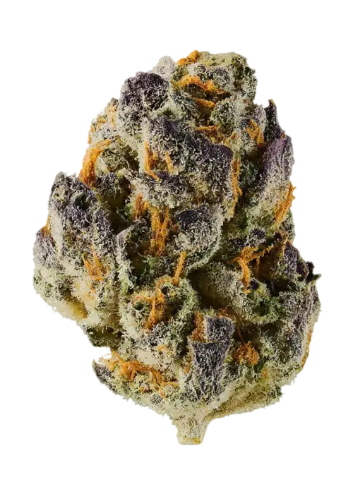 Black Beltz