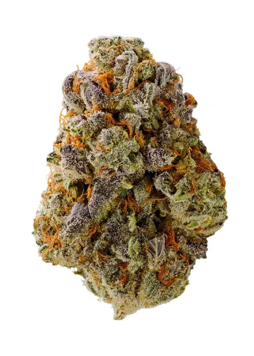 Double Rainbow Breath