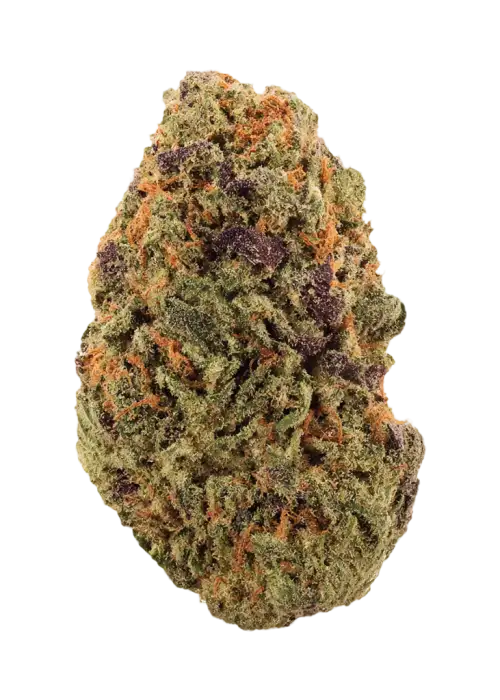 Dragon's Blood OZ