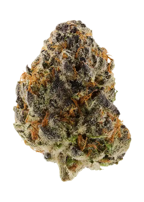 Edible Candy Beltz