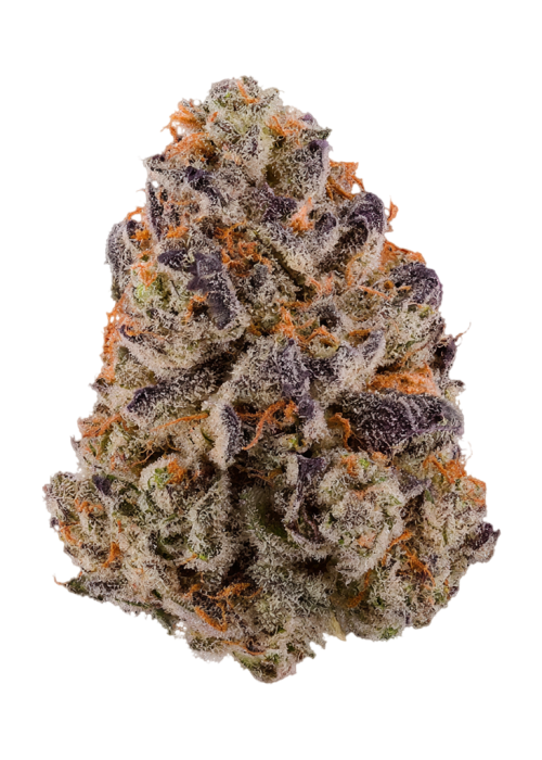 Gelato Cherry Zelato