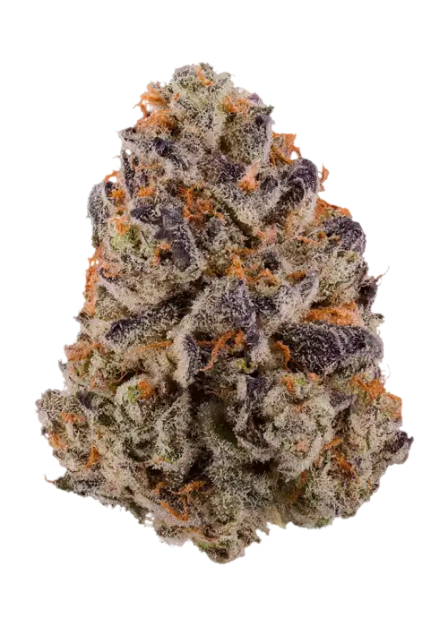 Gelato Cherry Zelato