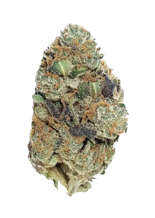 Animal Cookies