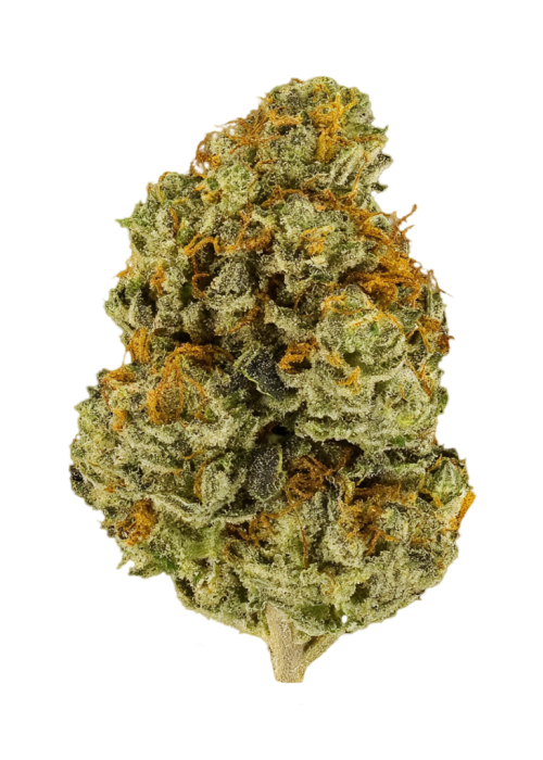 Nuclear Caviar