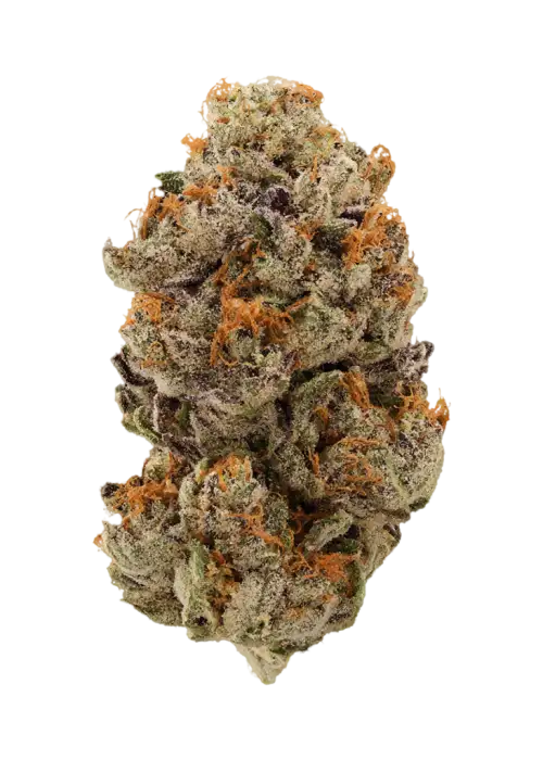 Power Runtz by EZ Genetics