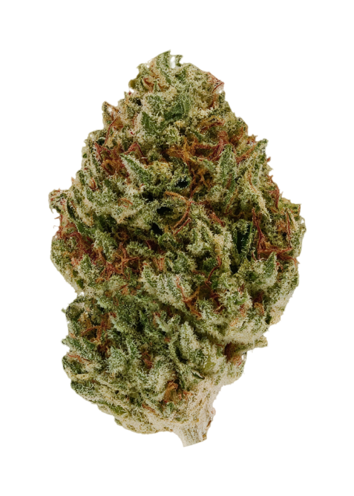 So Much Gas