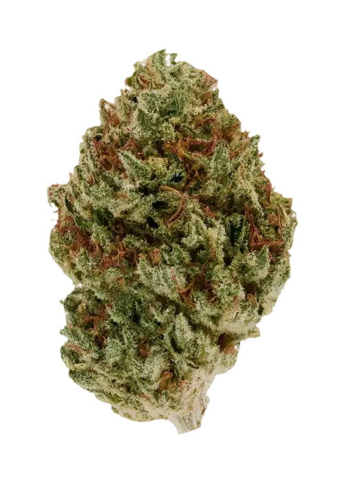 So Much Gas