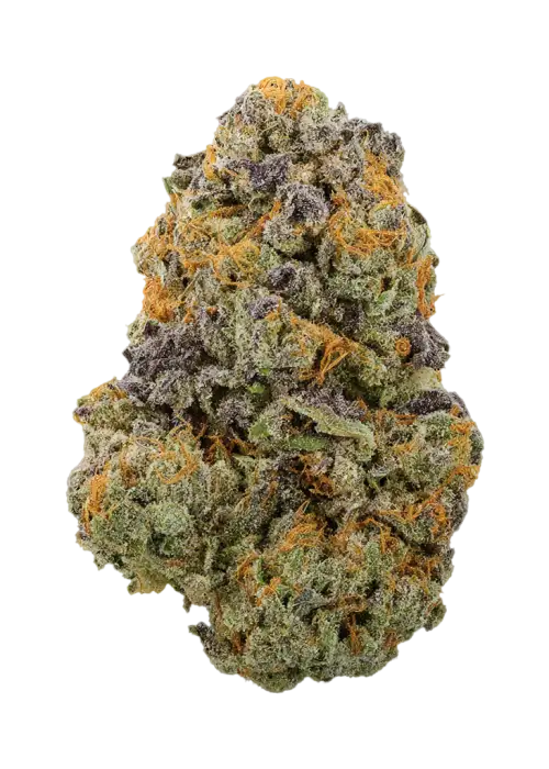 Zeven Up by EZ Genetics