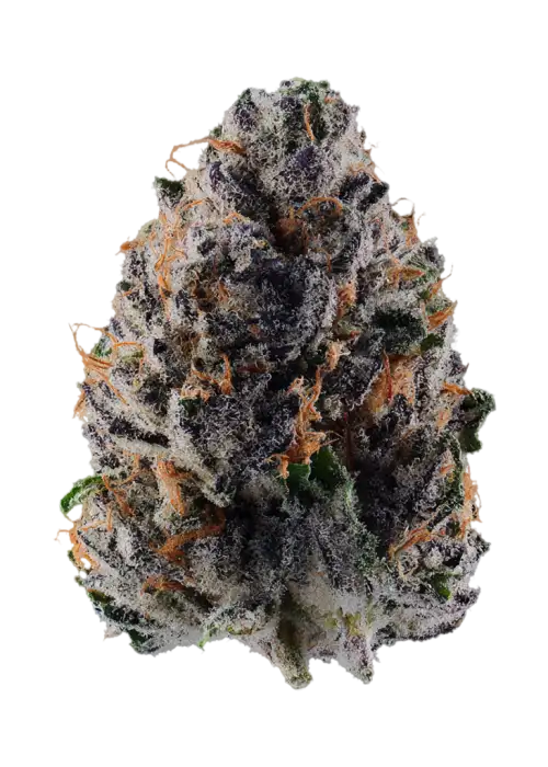 Wildberry Runtz #4 F2