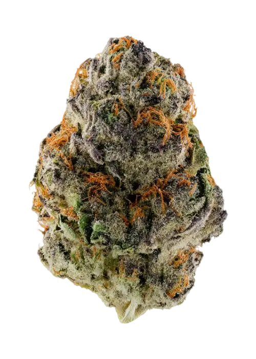 Guala Pie