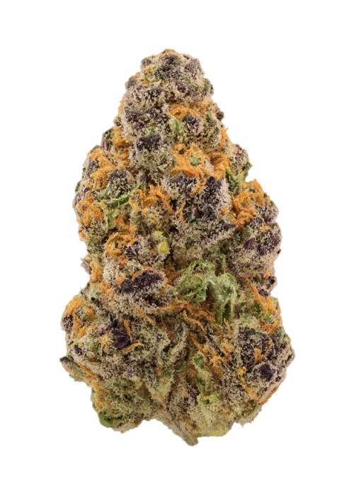 Cactus Crush