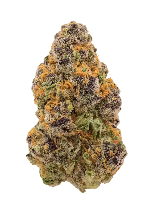 Cactus Crush