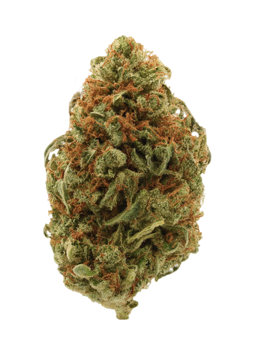 Hellfaiter Og