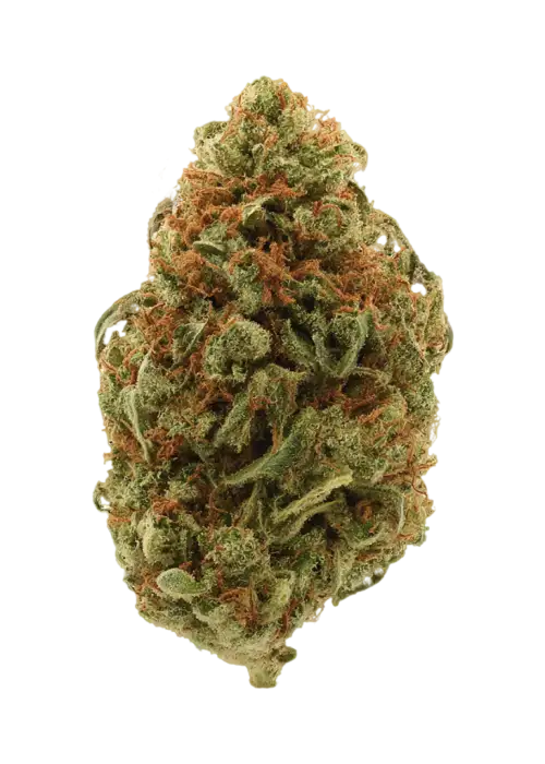 Hellfaiter Og