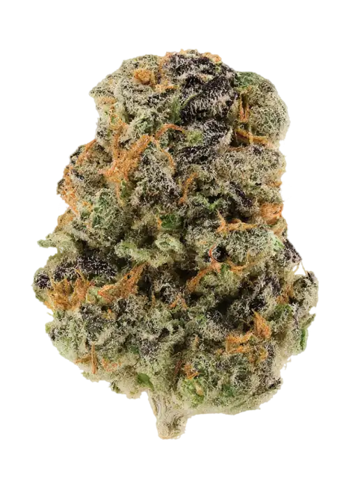 Afghani Sherbet