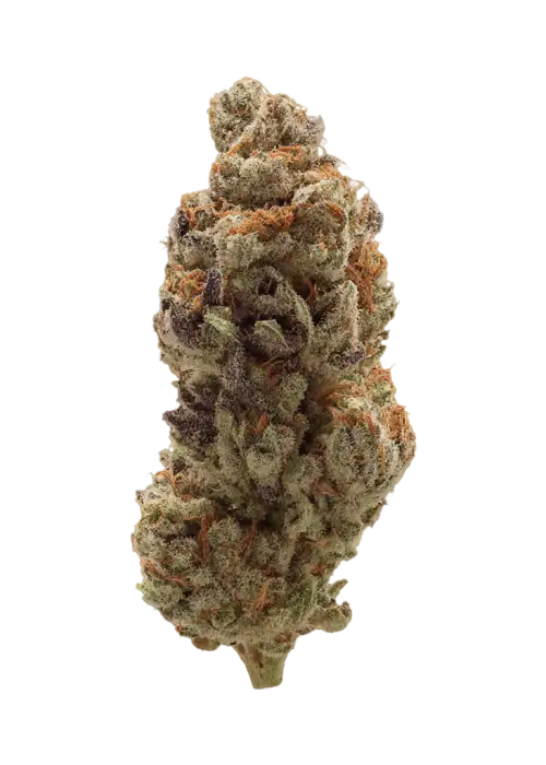 Gravity Berry F1