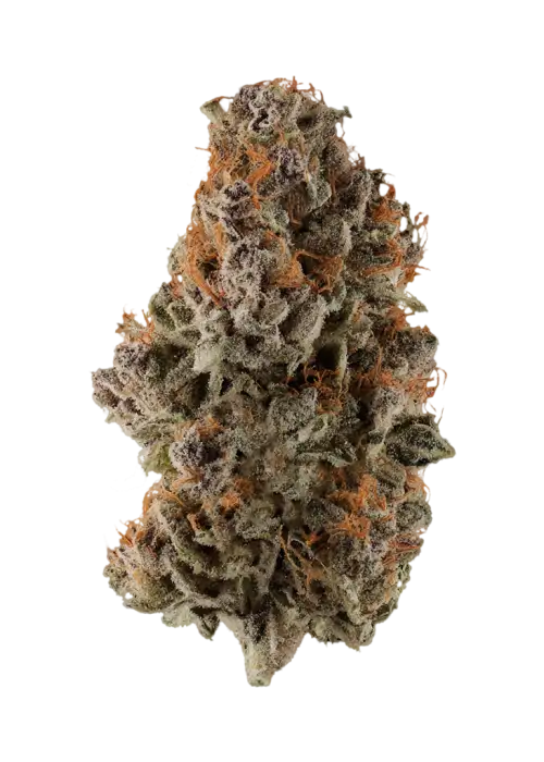 Dark Matter Cake F1