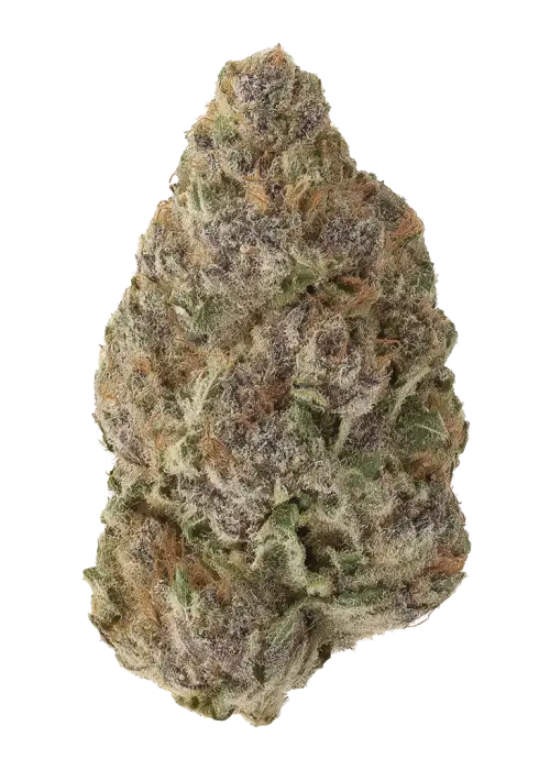 Pink Lemonade by Round Table