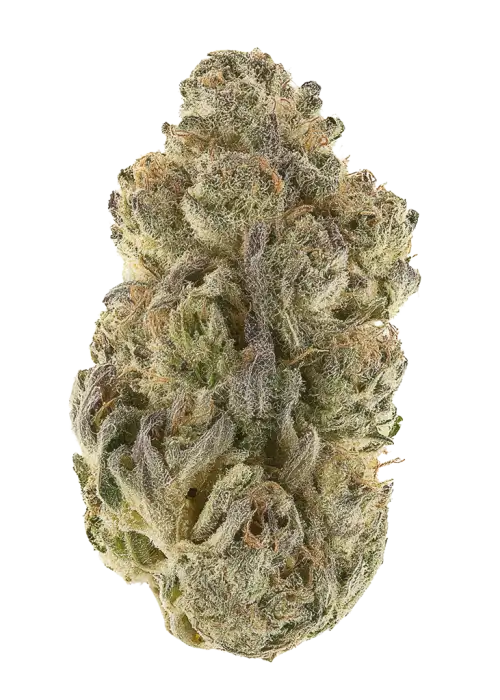 Hot Potato