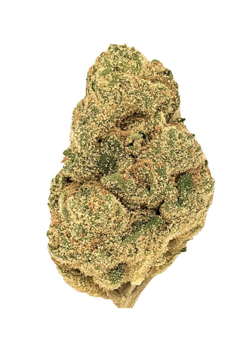 Gelato Pop
