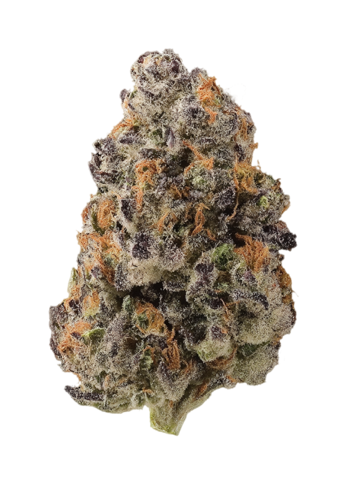 Trich Force One