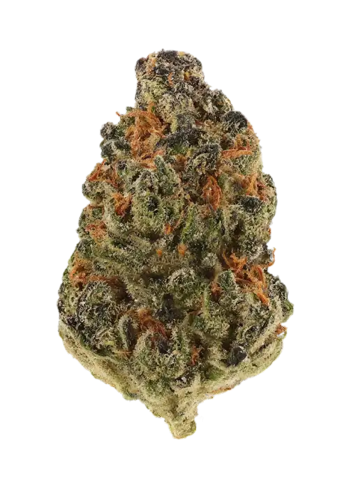 California Demon