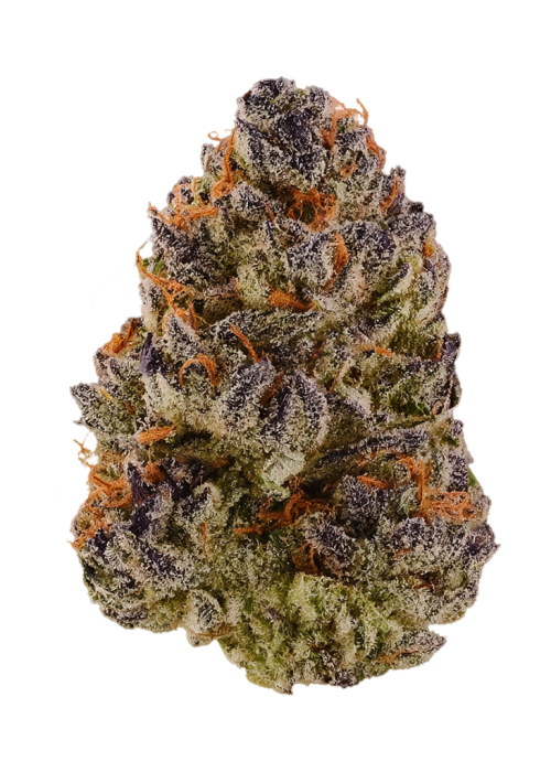 Cherrylicious BX