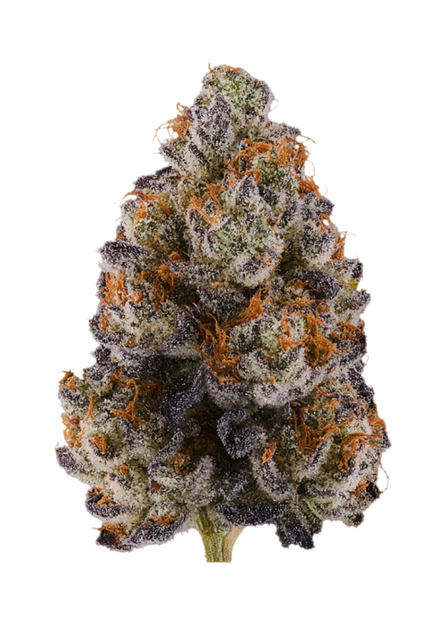 Cherry Chunks