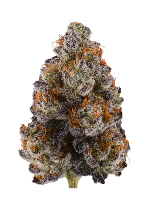 Cherry Chunks