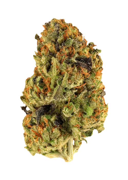 Falcon Berry