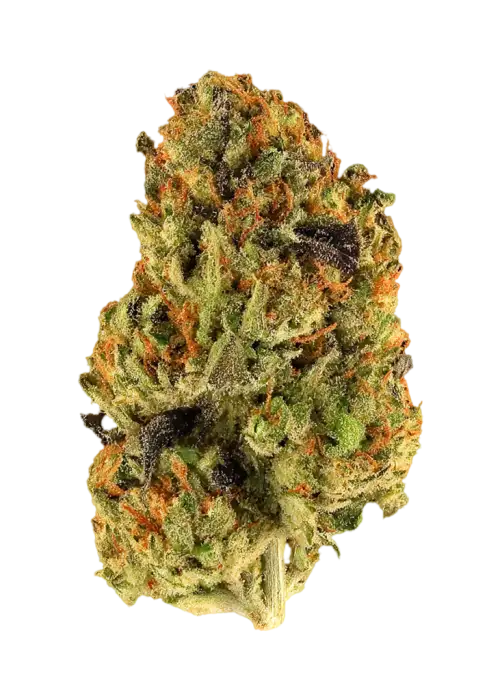 Falcon Berry