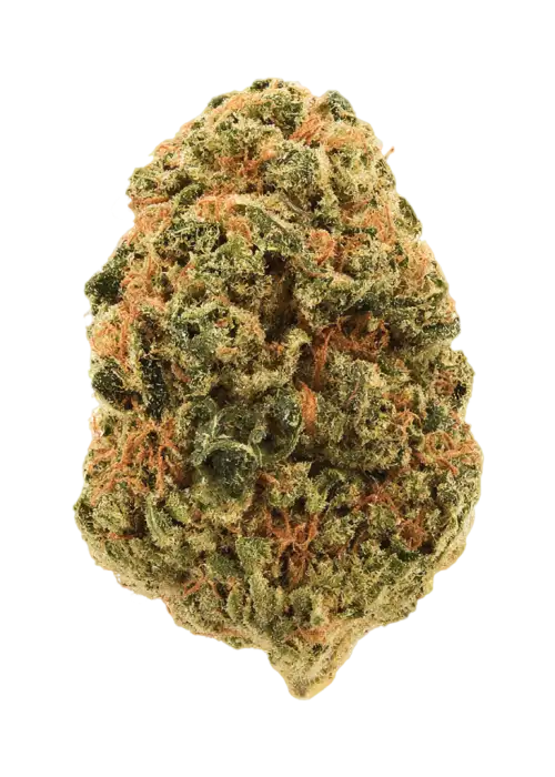 Lemon Shocker