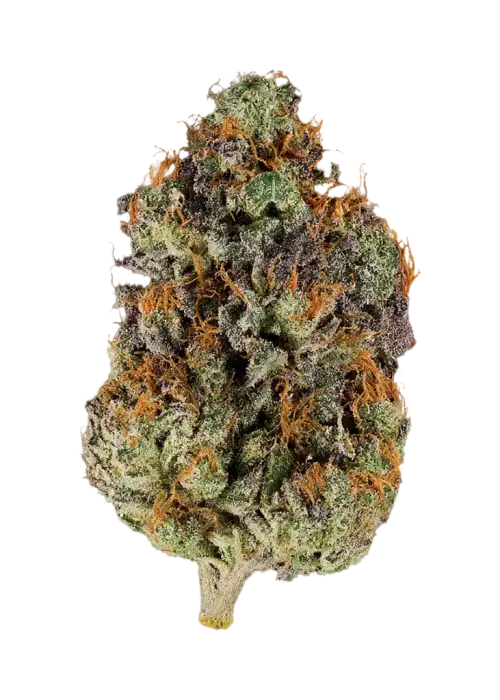 Citrus Crasher