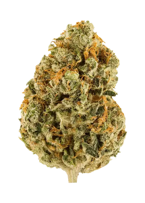 Strawberry Pop Rocks by HIgh Grade Selections