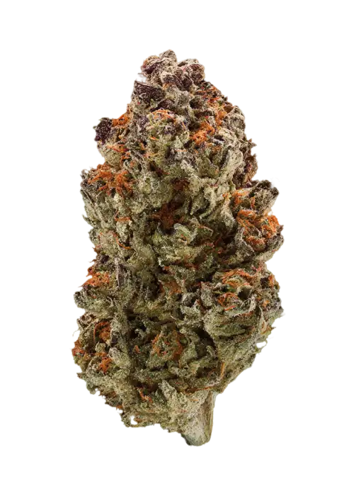 Deep State by Purple City Genetics