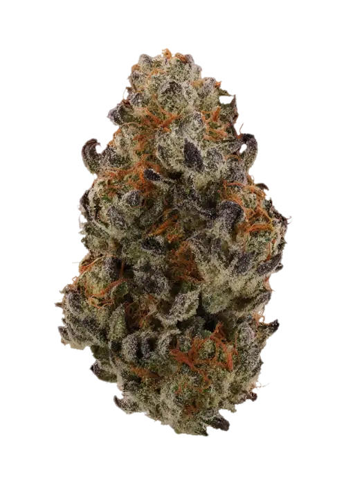 Triple Crown by Hall of Flame
