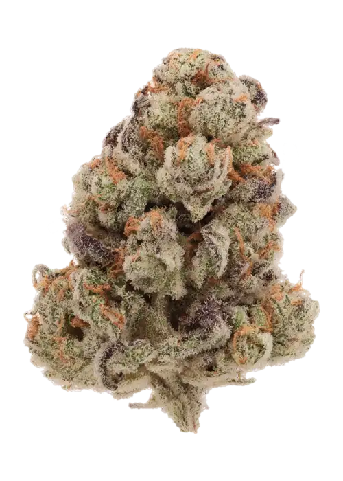 Screamberry