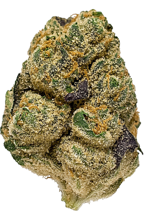 Sour Papaya